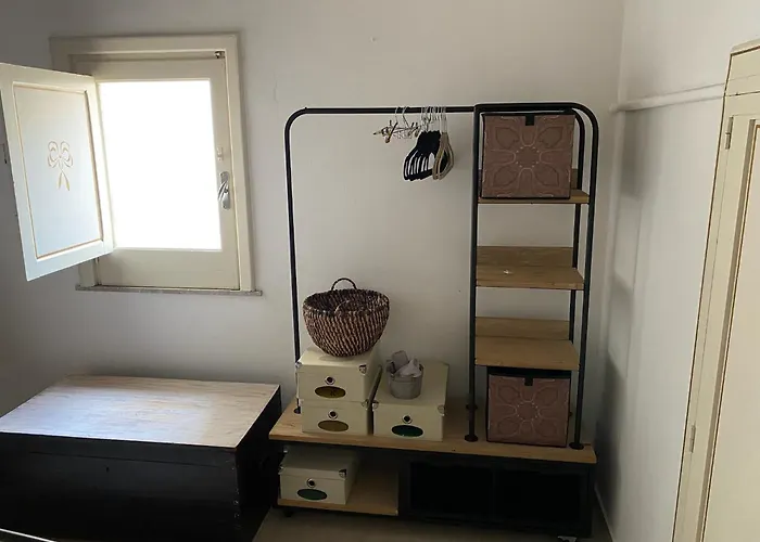 Piccolo Fiore Di Cactus *