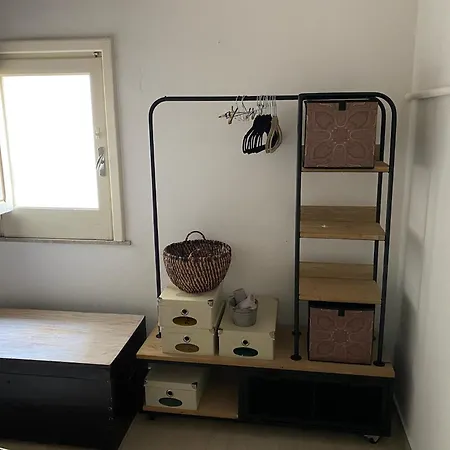 Piccolo Fiore Di Cactus *