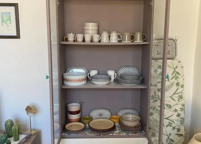 Piccolo Fiore Di Cactus