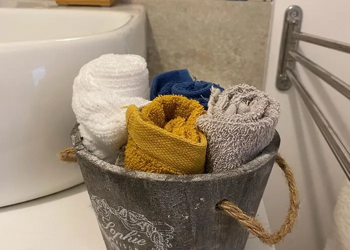 Piccolo Fiore Di Cactus Syrakuzy